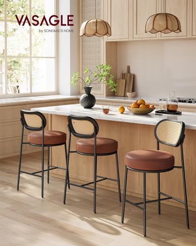 Bar Stools Set of 2 with Rattan Back