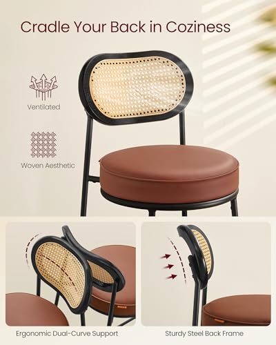 Bar Stools Set of 2 with Rattan Back