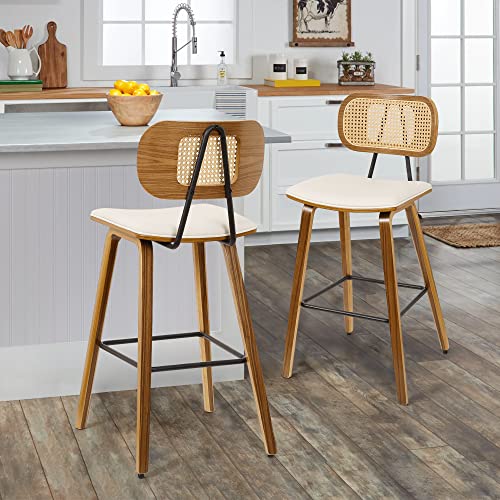 Mid-Century Modern Counter Height Bar Stools Set