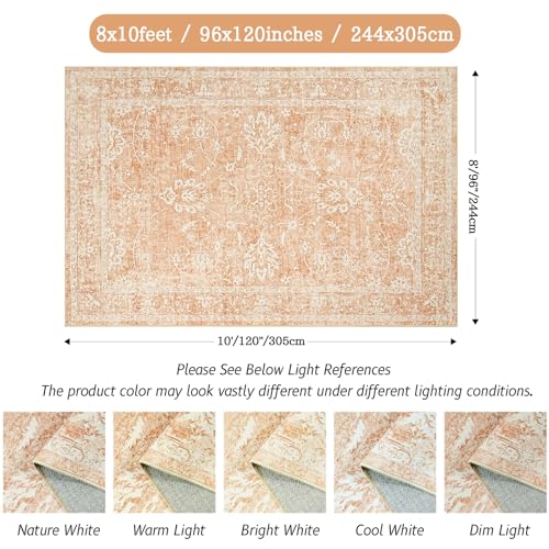 Vintage Floral 8x10 Area Rug for Home