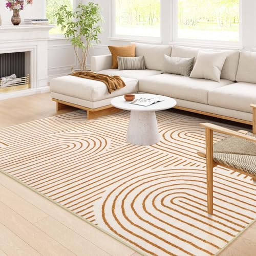 Lahome 8x10 Abstract Non-Slip Soft Rug