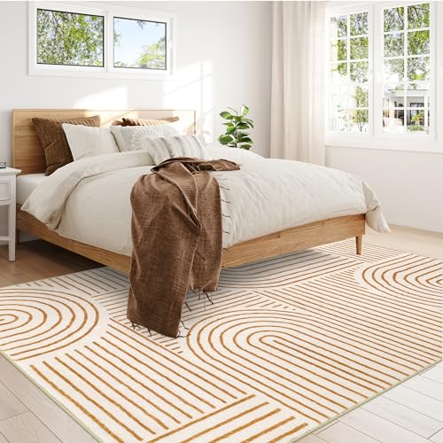 Lahome 8x10 Abstract Non-Slip Soft Rug