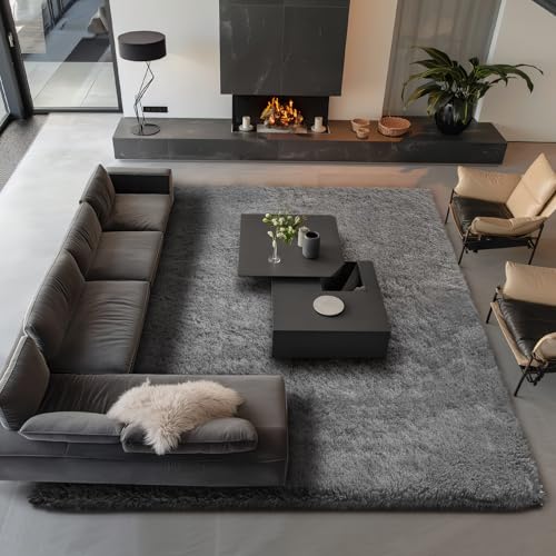 Large Grey Shag Area Rug for Living Spaces