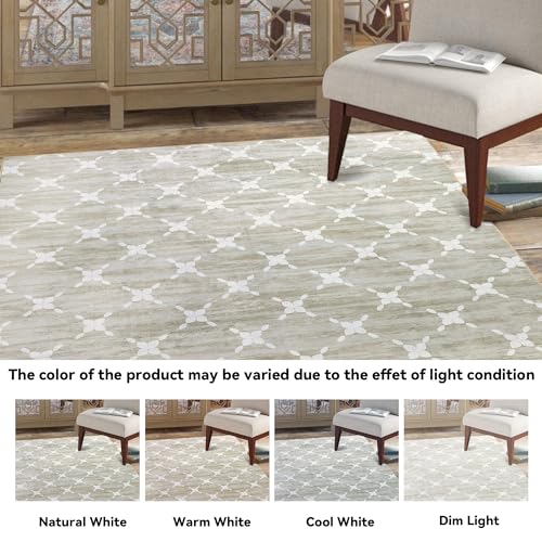 Large Geometric Grille Area Rug for Home