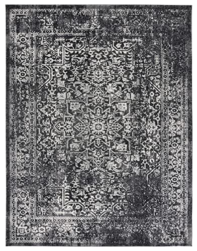 Evocative Black & Grey Oriental Area Rug 10'x14