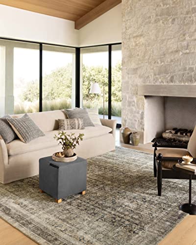 Loloi Amber Lewis Morgan Navy/Sand Area Rug 8'3" x 11'3