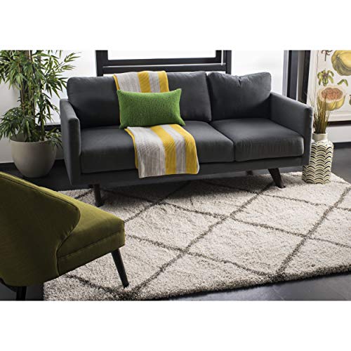 Hudson Shag Ivory/Grey Area Rug by Safavieh