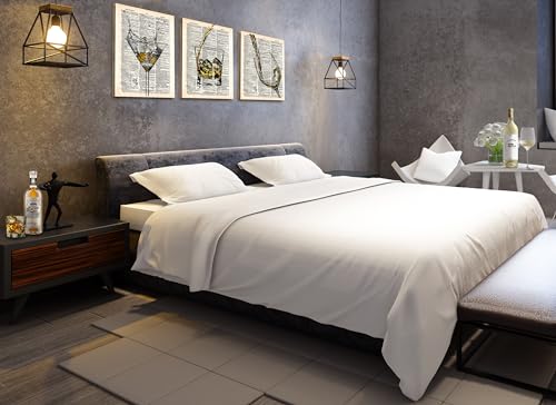 Retro Whiskey & Martini Canvas Wall Art Set