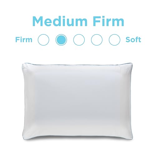 Tempur-Pedic Dual Queen Size Cooling Pillow