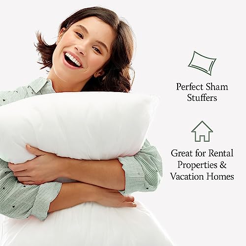 Hypoallergenic Down Alternative Pillows, Standard/Queen Size