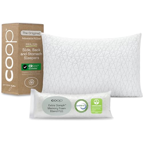 Coop Home Goods Bamboo Shredded Memory Foam Pillow