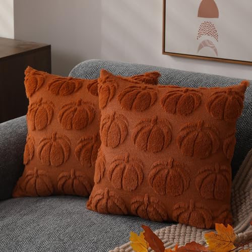 Autumn Pumpkin Plush Pillow Covers Set of 2