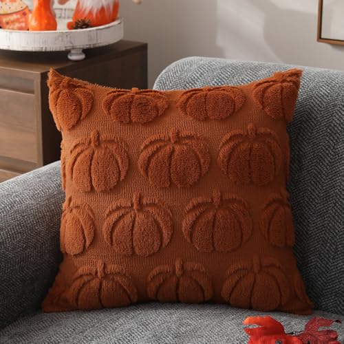 Autumn Pumpkin Plush Pillow Covers Set of 2
