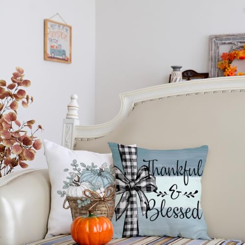 Pumpkin & Eucalyptus Fall Throw Pillow Covers Set