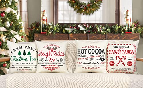 Farmhouse Christmas Pillow Covers Set of 4