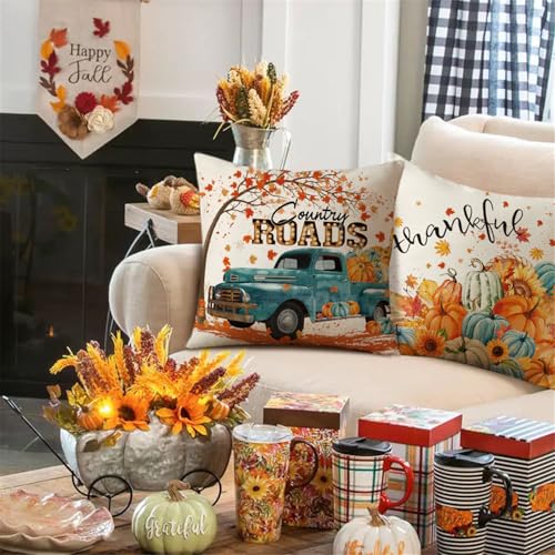 Fall Decorative Pillow Covers Set of 4 – Pumpkins