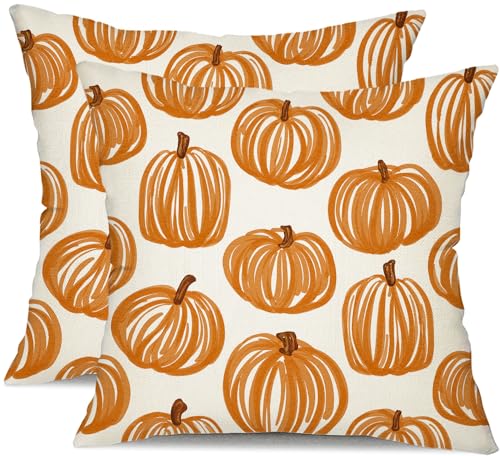 Set of 2 Autumn Pumpkin Pillow Covers 18x18