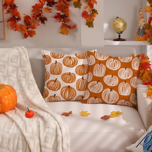 Set of 2 Autumn Pumpkin Pillow Covers 18x18