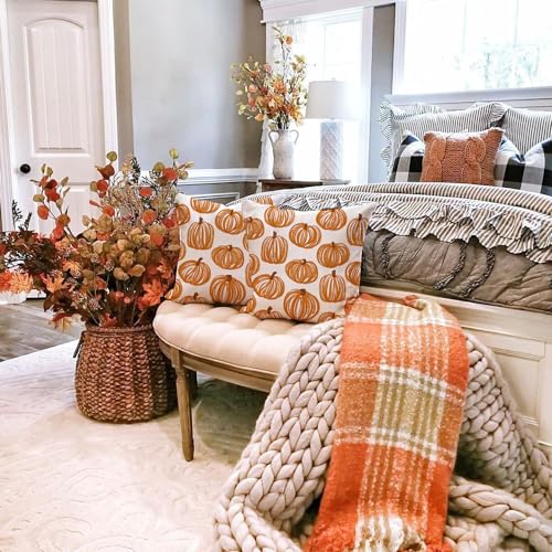 Set of 2 Autumn Pumpkin Pillow Covers 18x18