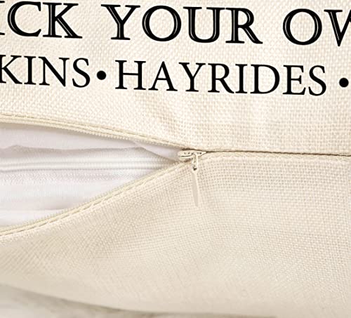 Gray Pumpkin Harvest Decorative Pillow Covers - Set of 4