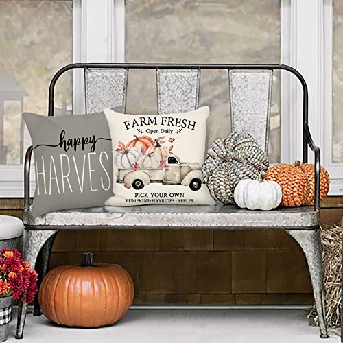 Gray Pumpkin Harvest Decorative Pillow Covers - Set of 4