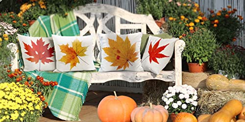 Autumn Maple Leaf Cushion Covers Set of 4