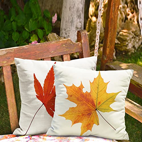 Autumn Maple Leaf Cushion Covers Set of 4