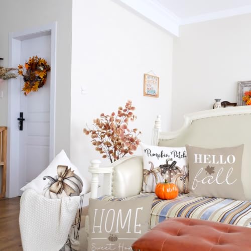 Hello Fall Pumpkin Patch Throw Pillow Covers Set