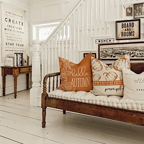Set of 4 Fall Decorative Pillow Covers