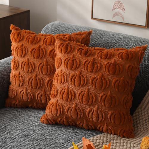 Autumn Pumpkin Faux Fur Cushion Covers - Set of 2