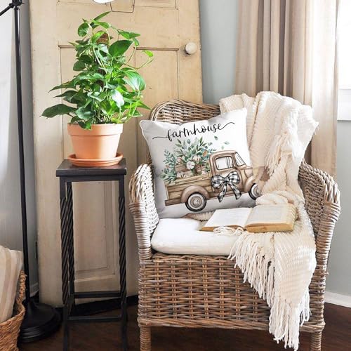 Eucalyptus Leaves Farmhouse Pillow Covers Set of 4