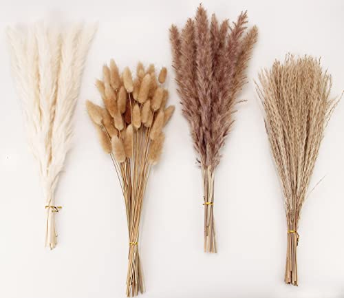 100 PCS Dried Pampas Grass and Bunny Tails