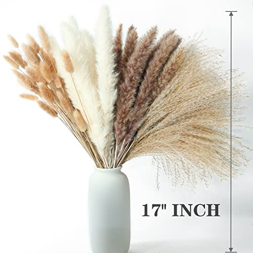 100 PCS Dried Pampas Grass and Bunny Tails