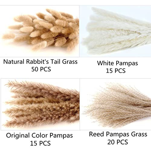 100 PCS Dried Pampas Grass and Bunny Tails
