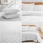Vilano Springs Queen/Full Quilt Set with Shams