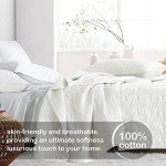 Cozy Queen Size Cotton Quilt Set with Shams