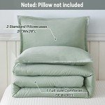 Sage Green Full Size Comforter Set, 3 Pieces