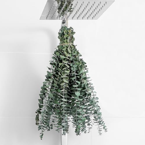 Dried Eucalyptus Stems - 10 Pieces for Decor