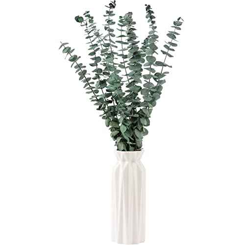 Dried Eucalyptus Stems - 10 Pieces for Decor