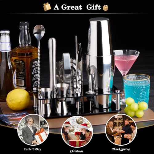 15-Piece Silver Cocktail Shaker Kit with Stand