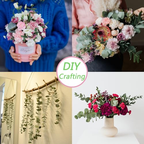 Dried Eucalyptus Stems - 10 Pieces for Decor