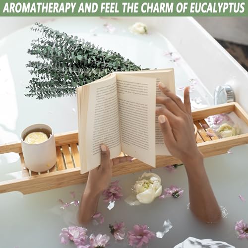 Dried Eucalyptus Stems - 10 Pieces for Decor