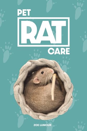 Essential Care for Pet Rats