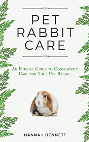 Ethical Guide to Confident Rabbit Care