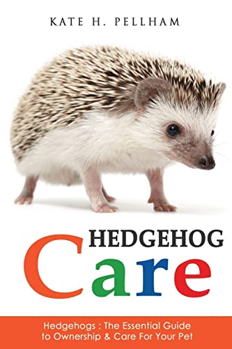 Essential Hedgehog Care Guide for Pet Owners