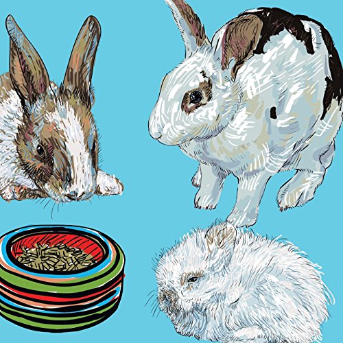 Caring for Rabbits: Kids' Pet Guide