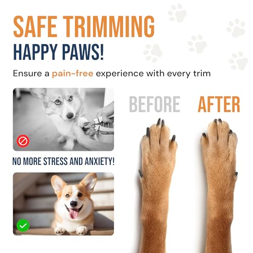 BARK BUFF: Dog Nail Scratch Board & Treat Box