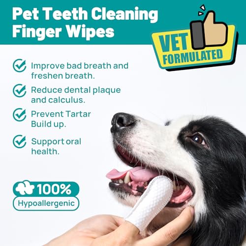 SmileDenX Dental Care Wipes for Dogs and Cats