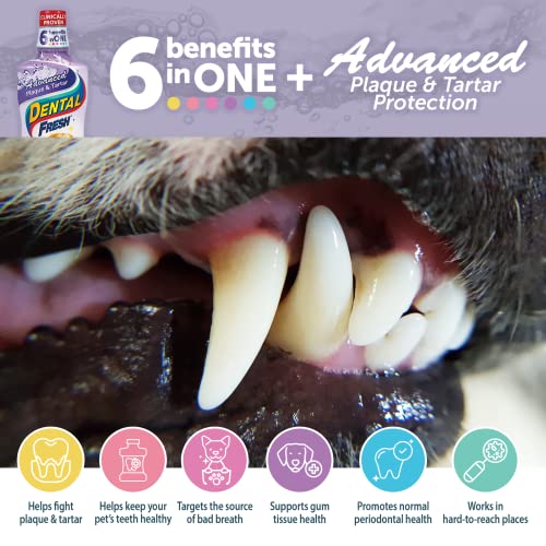 Dental Fresh Water Additive for Dog Oral Health