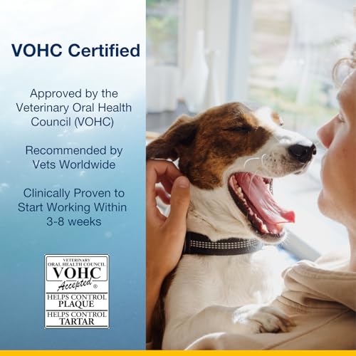 ProDen PlaqueOff Dental Care for Pets, 60g